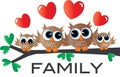 A sweet little owl family Royalty Free Stock Photo