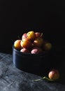 Sweet little plums in the sun Royalty Free Stock Photo