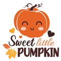 Sweet little pumpkin vector illustration with cute pumpkin.