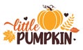 Sweet little pumpkin vector illustration with cute pumpkin.