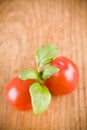 Sweet little red tomatos and green basil Royalty Free Stock Photo