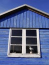 Closeup of window of bright blue wooden beach hut, Aero Island,Denmark Royalty Free Stock Photo