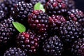 Sweet Loganberry black berry. Generate Ai