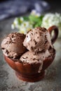 Sweet ludo: Chocolate ice cream with chocolate chips in a beautiful bowl for dessert. Close-up