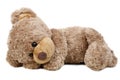 Sweet lying bear Royalty Free Stock Photo