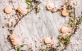 Sweet macaron cookies and white spring blossom flowers, horizontal composition