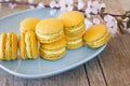 Sweet Macarons