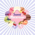 Sweet macaroons premium bakery shop banner, poster vector illustration. Cookies of different berry taste such as