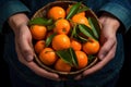 Sweet Mandarin fruits hands. Generate Ai Royalty Free Stock Photo