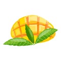 Sweet mango icon cartoon vector. Tropical fruit