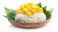 Sweet mango slices served with sticky rice and coconut cream Royalty Free Stock Photo