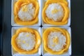 Sweet mango with sticky rice serving on white plate