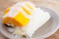 Sweet mango with sticky rice