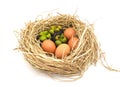 sweet mangosteen fruit and eggs orange oval shape food on nest. chicken egg in straw isolated on white background. High protien