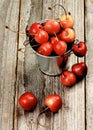 Sweet Maraschino Cherries Royalty Free Stock Photo