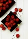 Sweet Maraschino Cherries Royalty Free Stock Photo