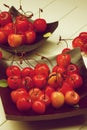 Sweet Maraschino Cherries Royalty Free Stock Photo