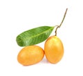 Sweet Marian plum thai fruit isolated on white background Royalty Free Stock Photo