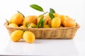 sweet Marian plum thai fruit on white background (Mayongchid Map