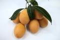 Sweet Marian plum thai fruit  on white background Royalty Free Stock Photo