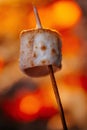 Sweet marshmallows warmed over a fire