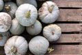 Sweet Meat Squash on Rustic Pallet Backround