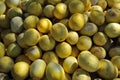 Sweet melon Royalty Free Stock Photo