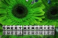 Sweet memories message with green flowers
