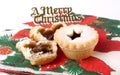 Sweet Mince Pies Royalty Free Stock Photo