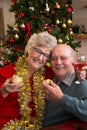 Sweet Mince Pies at Christmas Royalty Free Stock Photo