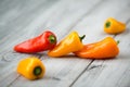 Sweet mini organic paprika red, yellow and orange on a wooden background Royalty Free Stock Photo