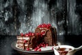 Sweet moments - brownies poured hot, liquid chocolate and sprinkled with red pomegranate seeds