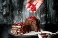 Sweet moments - brownies poured hot, liquid chocolate and sprinkled with red pomegranate seeds