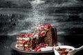 Sweet moments - sweet moments - brownies poured hot, liquid chocolate, sprinkled with red pomegranate seeds and powdered sugar Royalty Free Stock Photo