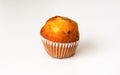 Sweet muffin cup cake closeup on white background Royalty Free Stock Photo
