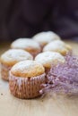 Sweet muffins with cottage cheese with powdered sugar