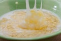 Sweet Mung Bean Porridge with Coconut Cream