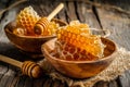 Sweet natural honey honeycomb dipper bowl fresh spring flowers bee golden syrup cells nature sweet healthy food Royalty Free Stock Photo