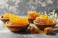 Sweet natural honey honeycomb dipper bowl fresh spring flowers bee golden syrup cells nature sweet healthy food Royalty Free Stock Photo