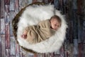 Sweet newborn baby sleeping in wooden basket Royalty Free Stock Photo