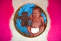 Sweet newborn baby sleeps with a toy hare Royalty Free Stock Photo