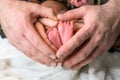 sweet newborn family forming Baby feet heart baby& x27;s feet in mom and dad parent hands selective color Royalty Free Stock Photo