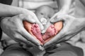 sweet newborn family forming Baby feet heart baby& x27;s feet in mom and dad parent hands selective color Royalty Free Stock Photo