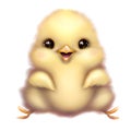 Sweet Nursery Fluffy Baby Chicken