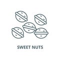 Sweet nuts vector line icon, linear concept, outline sign, symbol