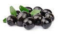 Sweet olives close up Royalty Free Stock Photo