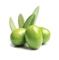 Sweet olives fruits. Royalty Free Stock Photo