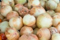 Sweet onion bulbs at the farmers market place Royalty Free Stock Photo