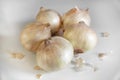 Sweet onions close up Royalty Free Stock Photo