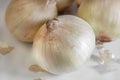 Sweet onions close up Royalty Free Stock Photo